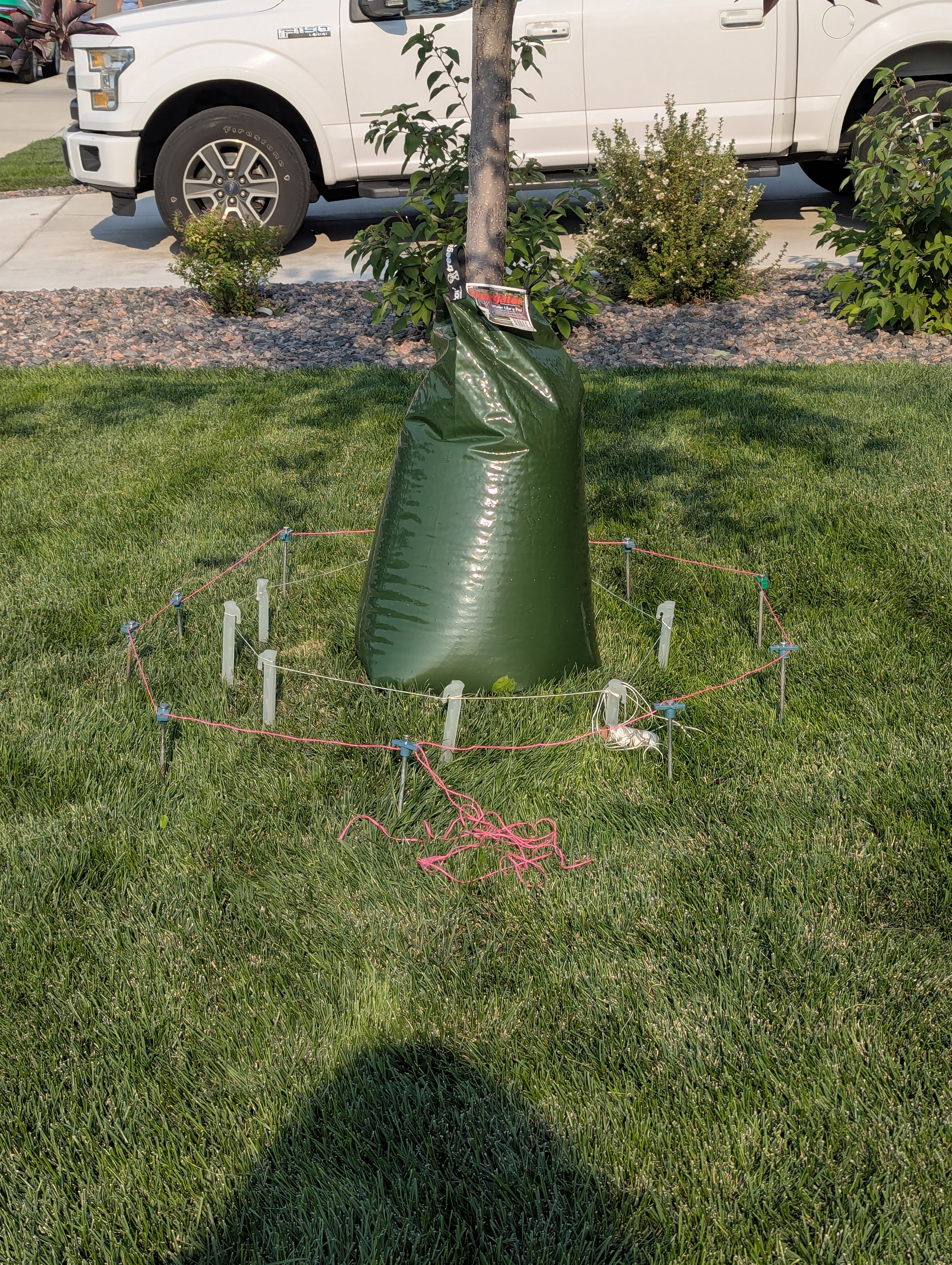 Tree Ring, Home Improvement, Morrison, Colorado